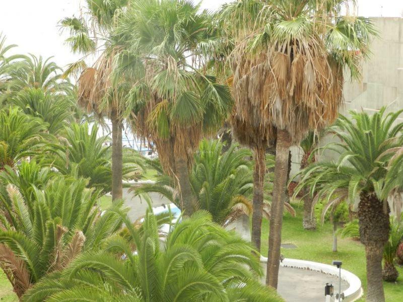 Beach-Front Tenerife Sth Sea And Pool View Costa Del Silencio Εξωτερικό φωτογραφία